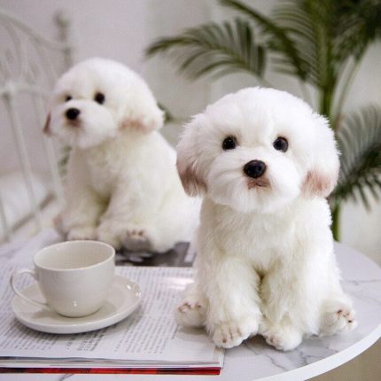 Real Life Bichon Frise Puppy Stuffed Teddy Dog Plush Toy Cute Simulation Pets Fluffy Baby Dolls Birthday Gifts for Children